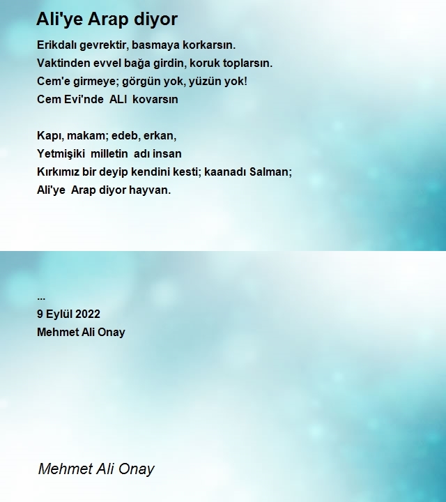 Mehmet Ali Onay