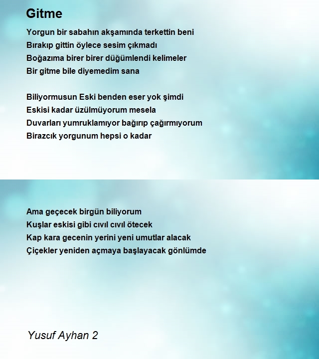 Yusuf Ayhan 2