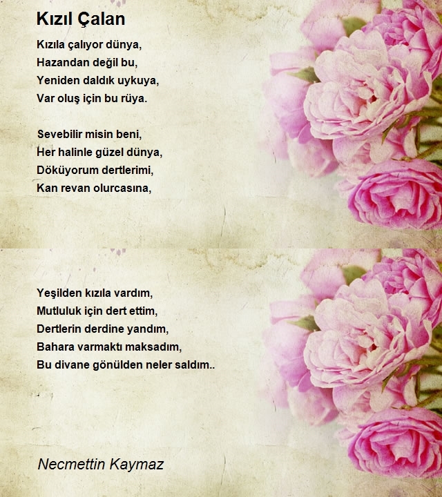 Necmettin Kaymaz