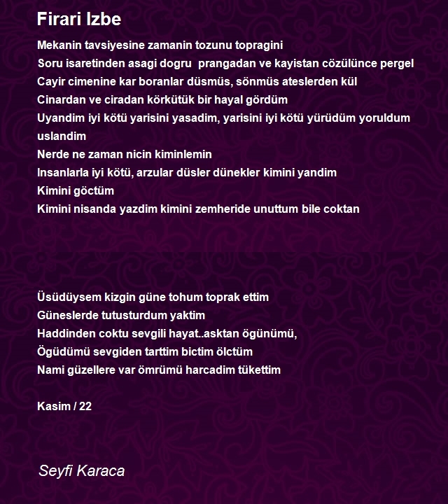 Seyfi Karaca