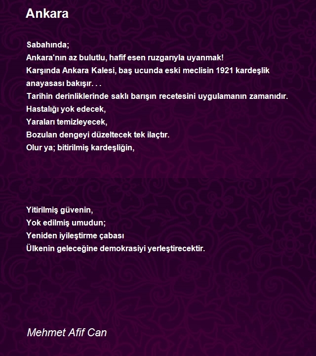 Mehmet Afif Can