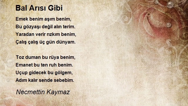 Necmettin Kaymaz