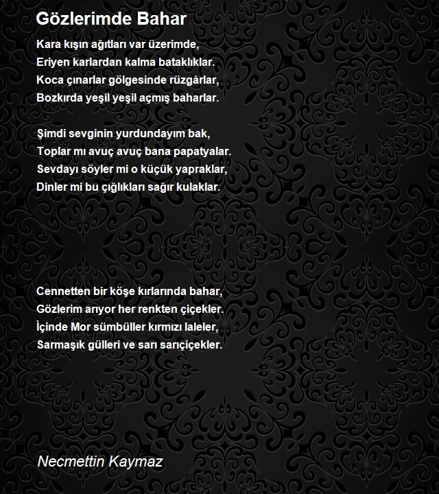 Necmettin Kaymaz