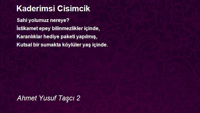 Ahmet Yusuf Taşcı 2