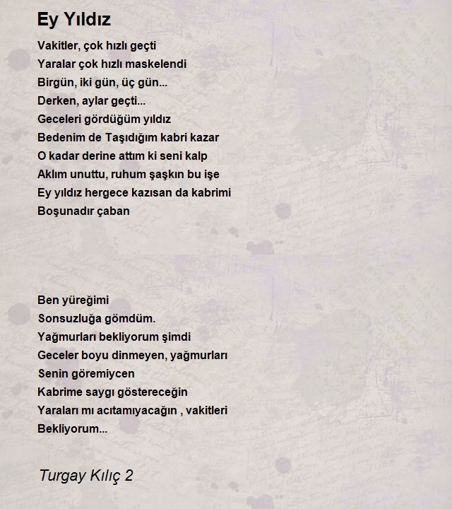 Turgay Kılıç 2