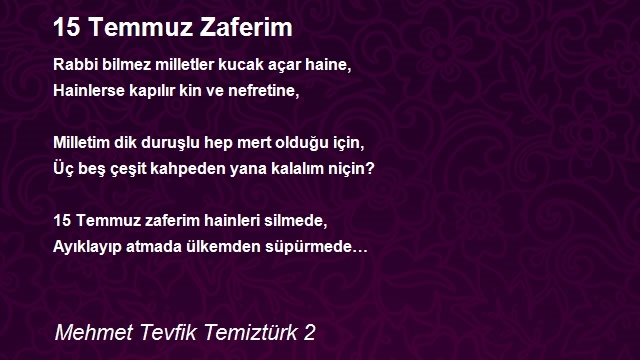 Mehmet Tevfik Temiztürk 2