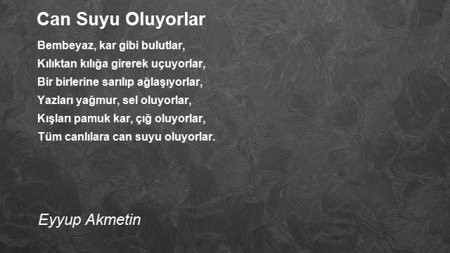 Eyyup Akmetin