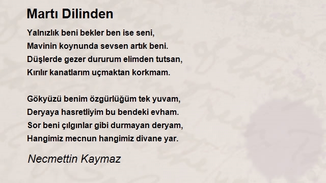 Necmettin Kaymaz