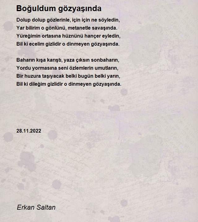 Erkan Saltan