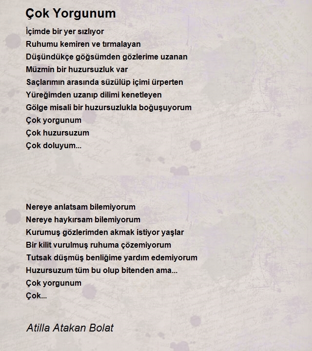 Atilla Atakan Bolat