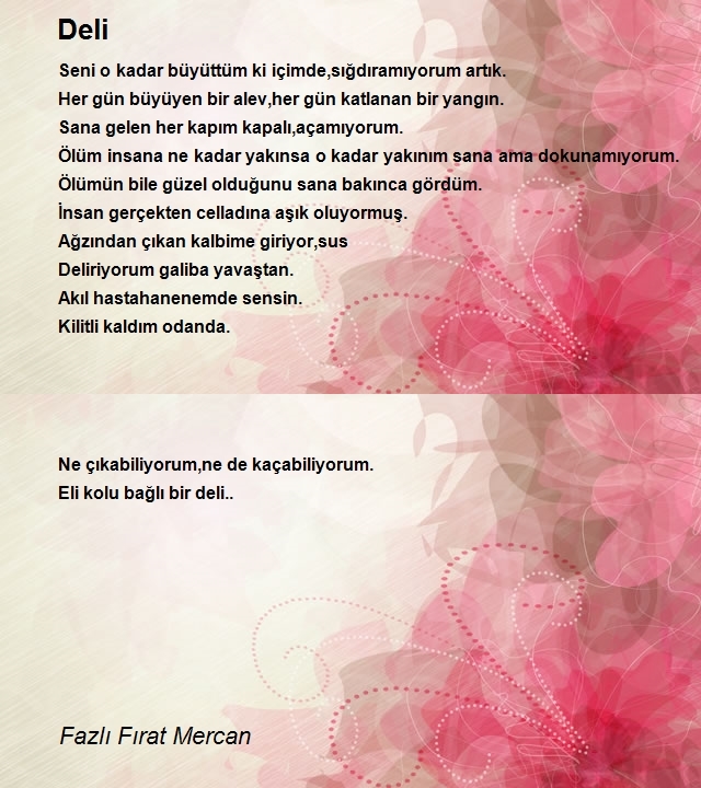 Fazlı Fırat Mercan