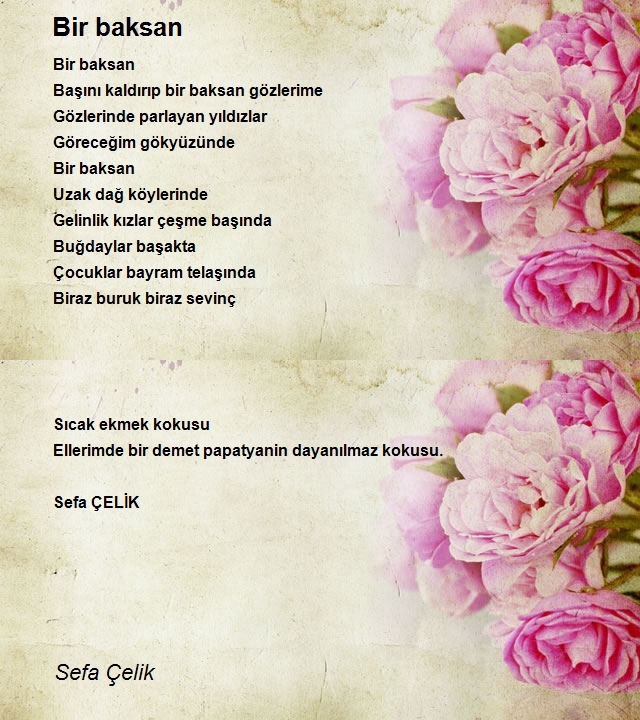 Sefa Çelik