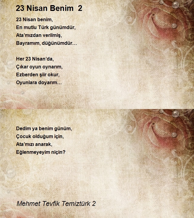 Mehmet Tevfik Temiztürk 2