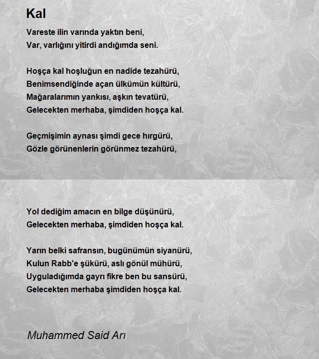 Muhammed Said Arı