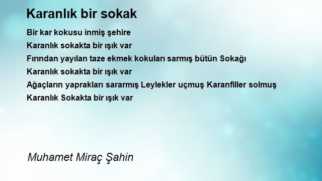 Muhamet Miraç Şahin