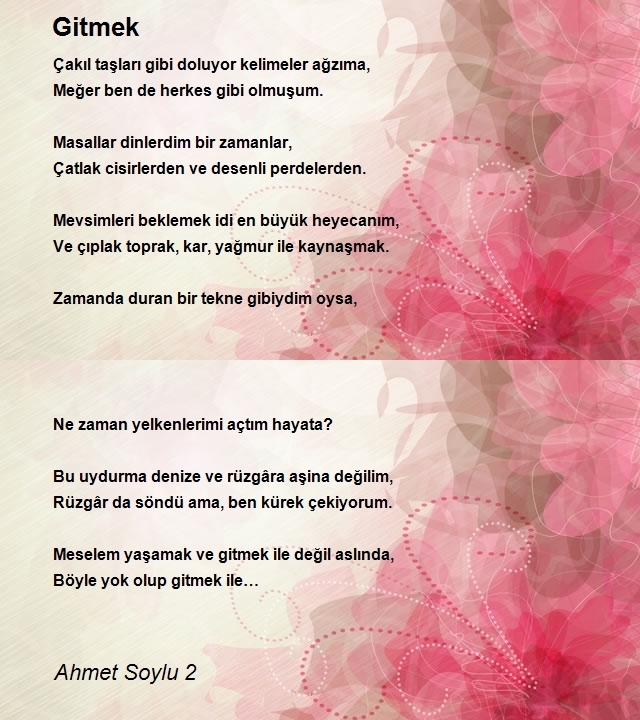 Ahmet Soylu 2