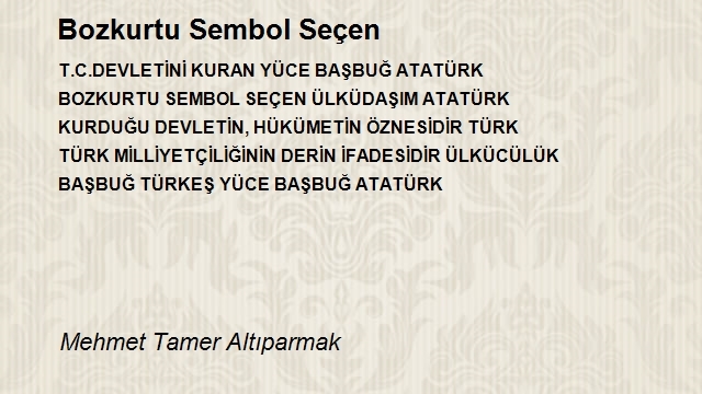 Mehmet Tamer Altıparmak