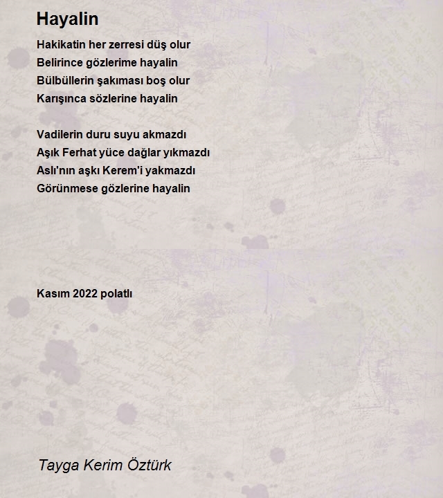 Tayga Kerim Öztürk