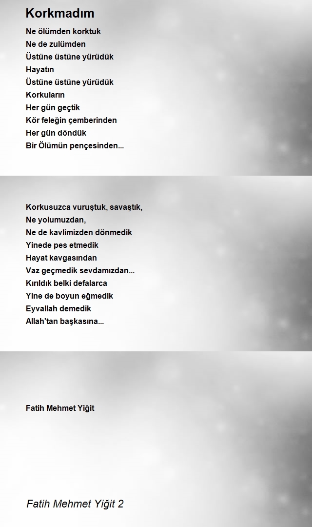 Fatih Mehmet Yiğit 2