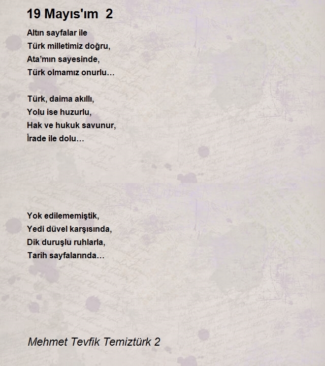 Mehmet Tevfik Temiztürk 2