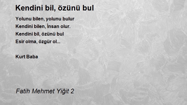 Fatih Mehmet Yiğit 2