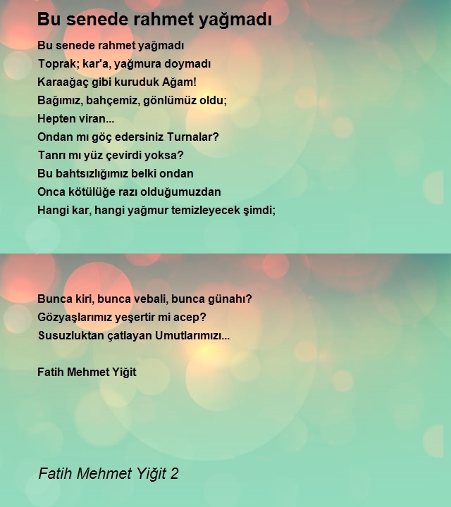 Fatih Mehmet Yiğit 2