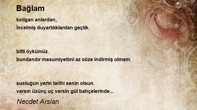 Necdet Arslan