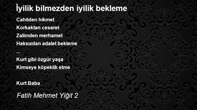 Fatih Mehmet Yiğit 2