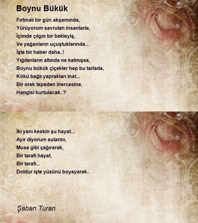 Şaban Turan