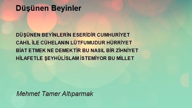 Mehmet Tamer Altıparmak