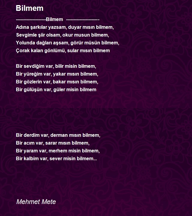 Mehmet Mete