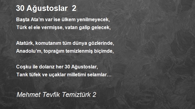 Mehmet Tevfik Temiztürk 2