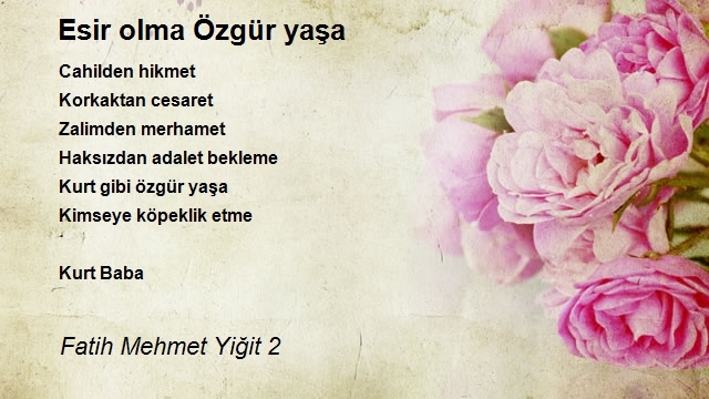 Fatih Mehmet Yiğit 2