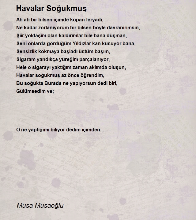 Musa Musaoğlu