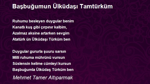 Mehmet Tamer Altıparmak