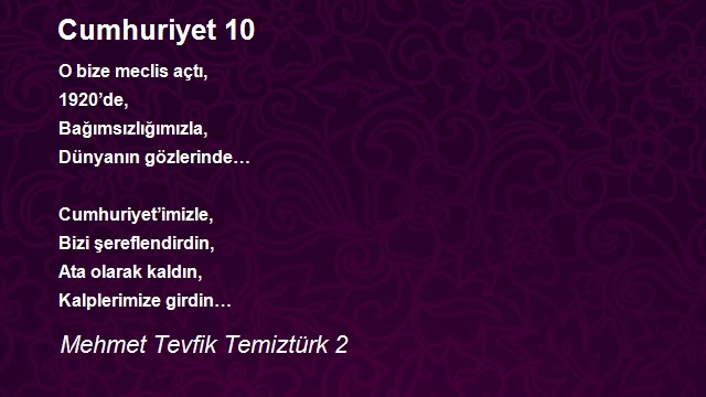 Mehmet Tevfik Temiztürk 2