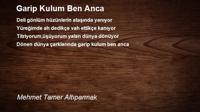 Mehmet Tamer Altıparmak