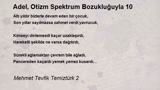 Mehmet Tevfik Temiztürk 2