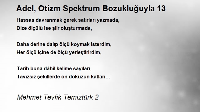 Mehmet Tevfik Temiztürk 2