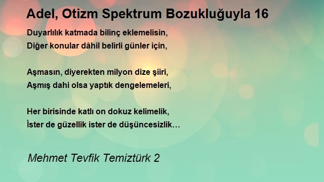 Mehmet Tevfik Temiztürk 2