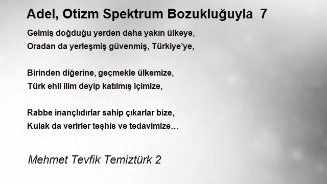 Mehmet Tevfik Temiztürk 2