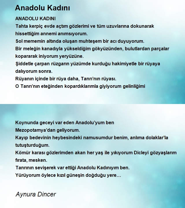 Aynura Dincer Ak