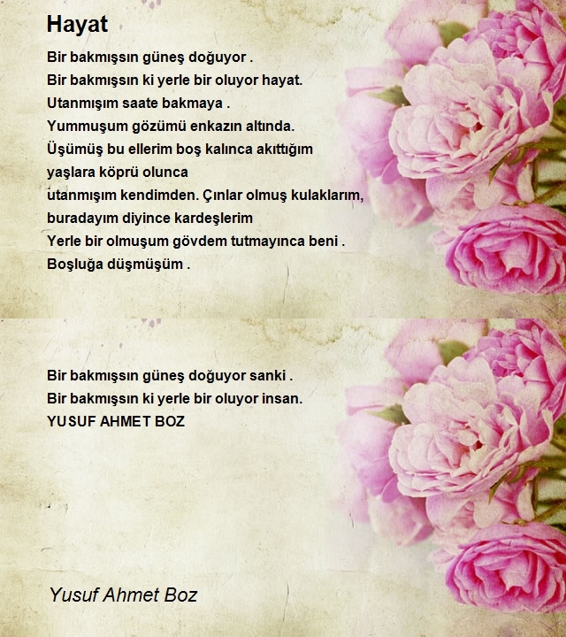 Yusuf Ahmet Boz