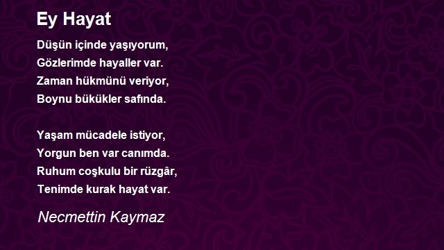 Necmettin Kaymaz