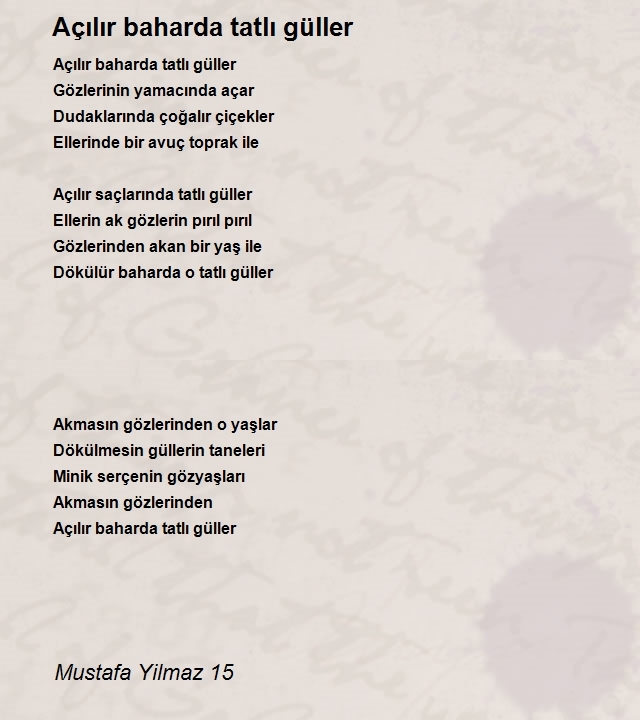 Mustafa Yilmaz 15