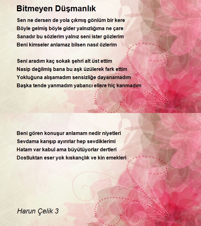 Harun Çelik 3