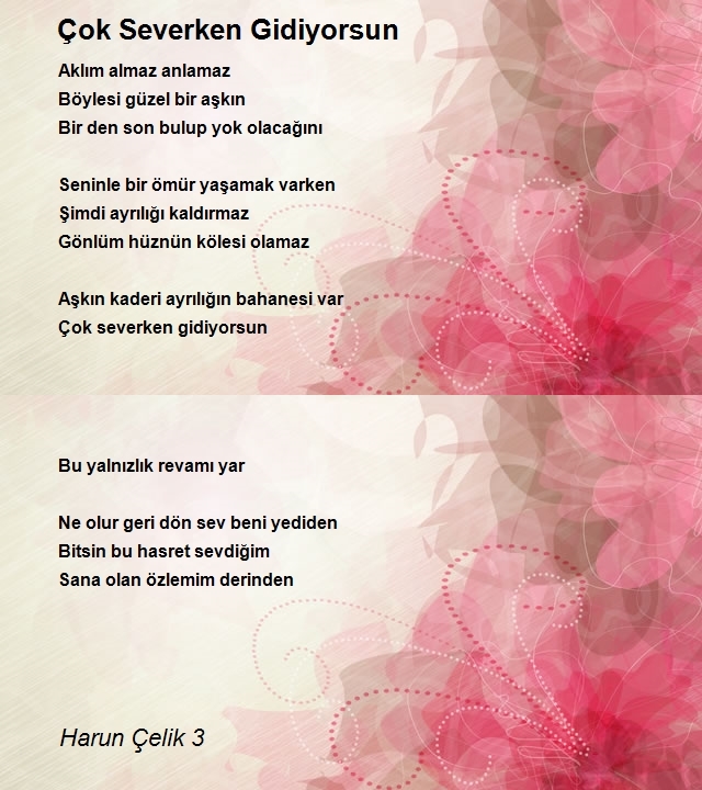 Harun Çelik 3