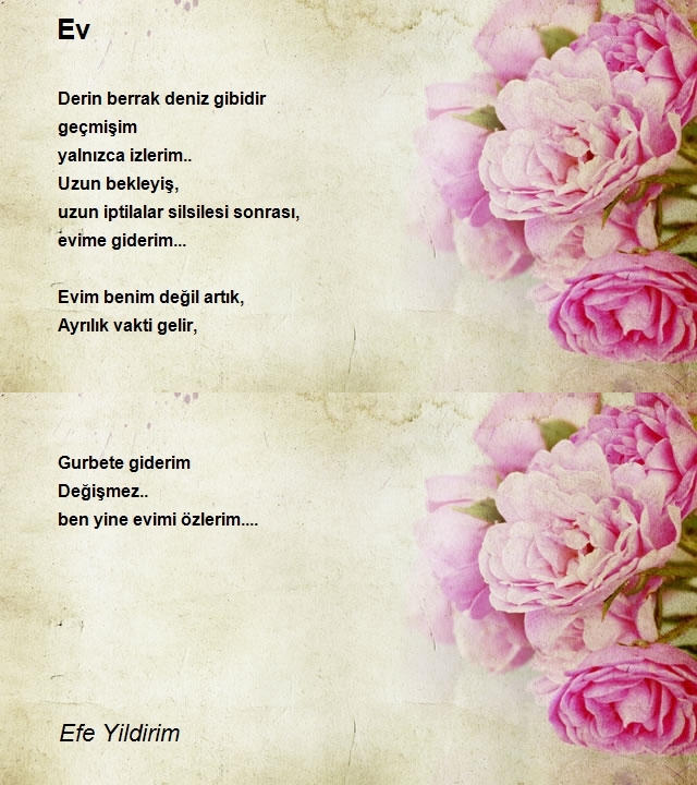 Efe Yildirim