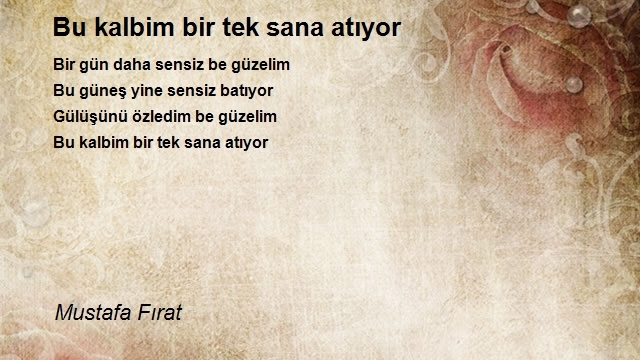 Mustafa Fırat