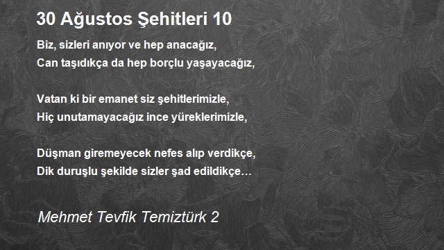 Mehmet Tevfik Temiztürk 2